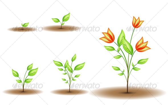 590x369 17 Flower Growing Vector Images
