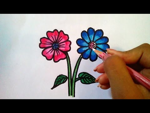 480x360 How To Draw Simple Flowers Drawing For Kids Using Staedtler