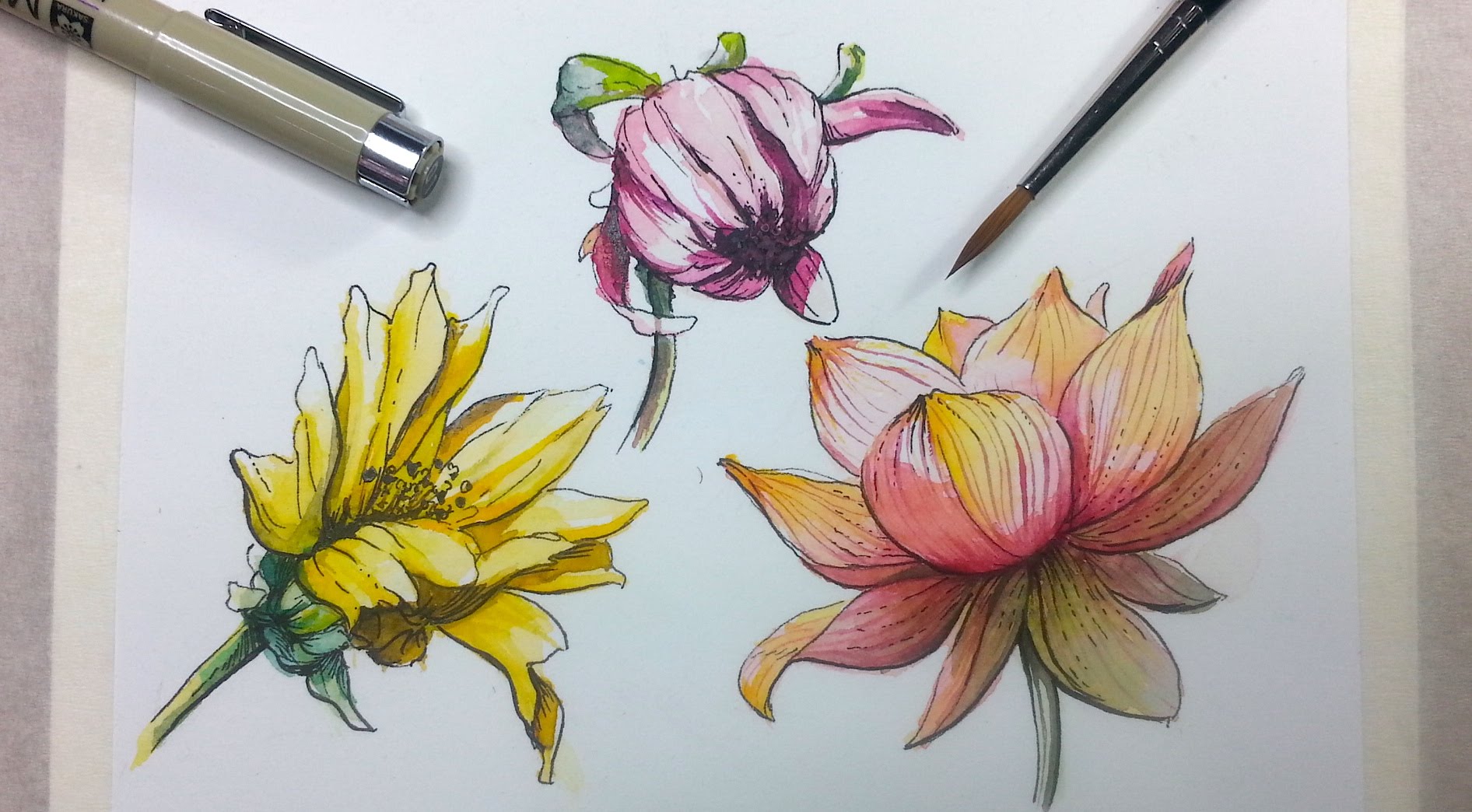 1892x1044 How To Draw Amp Paint Flowers With Ink And Watercolor Part 2