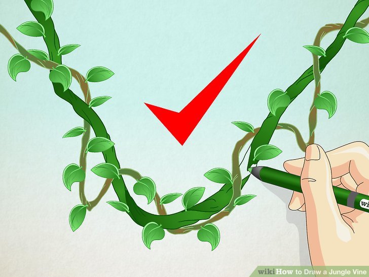 728x546 How To Draw A Jungle Vine 7 Steps (With Pictures)