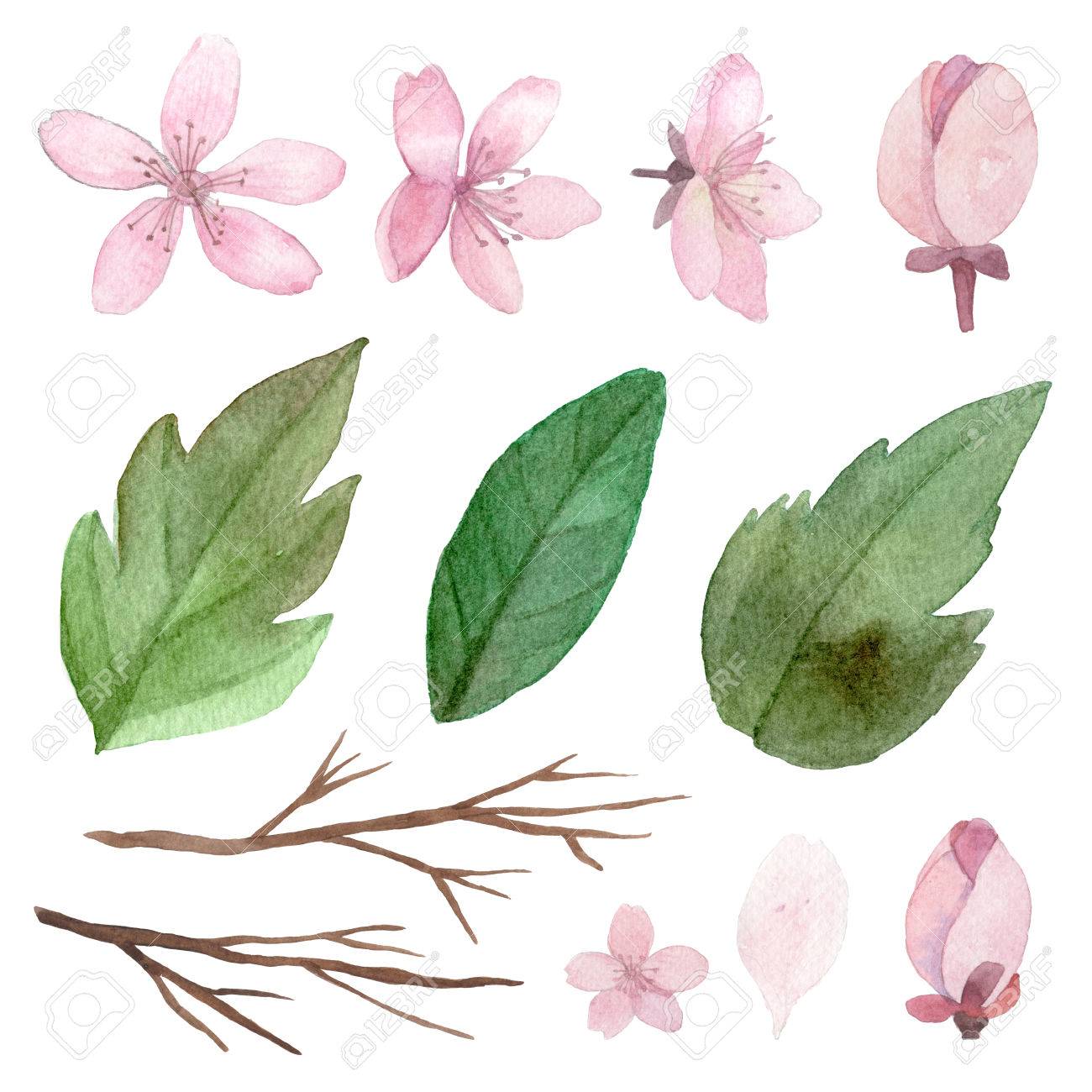 1300x1300 Set Of Flowers, Leaves Branches Traditional Drawing