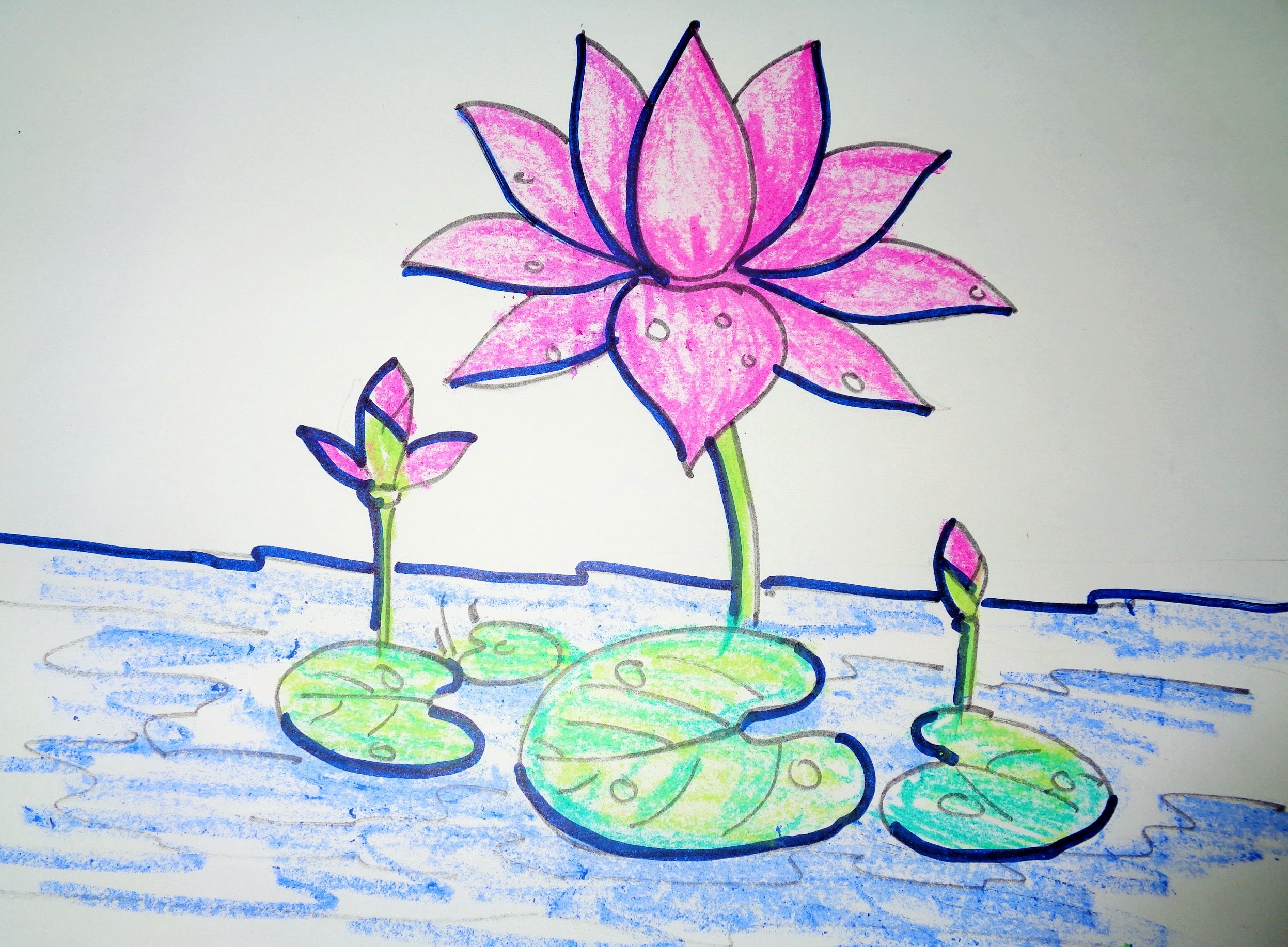 2494x1835 Drawing Of Lotus Flower With Leaf How To Draw Lotus Step By Step