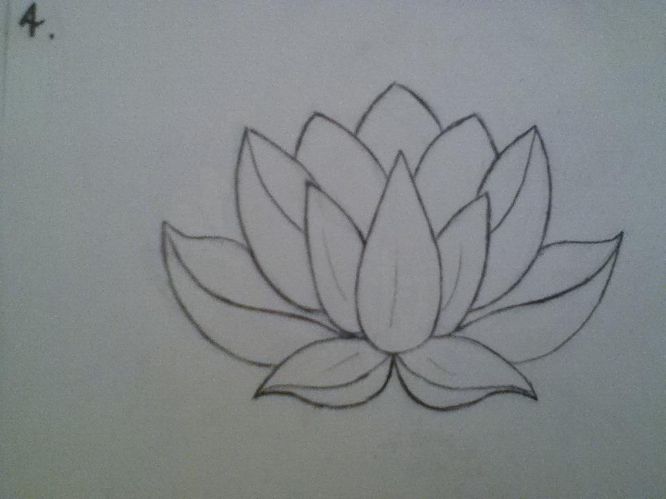 960x720 This Lotus Drawing Is The Exact Shape I Want For My Lotus Tattoo