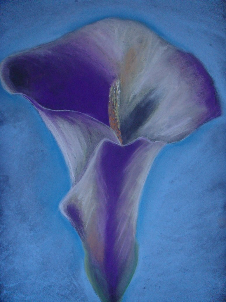 774x1032 Pastel Flower Drawings Drawn Flower Pastel