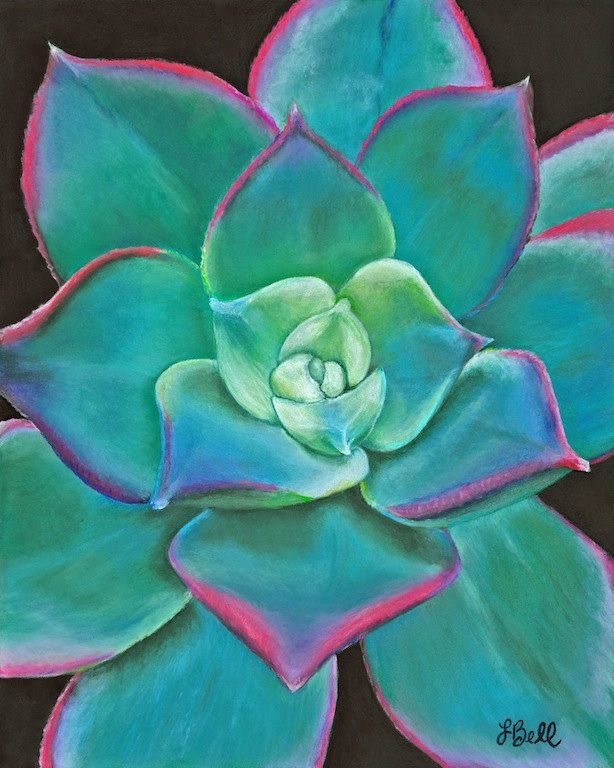 614x768 Succulent Plant Art Aqua Turquoise Blue Green Giclee Print Pastel