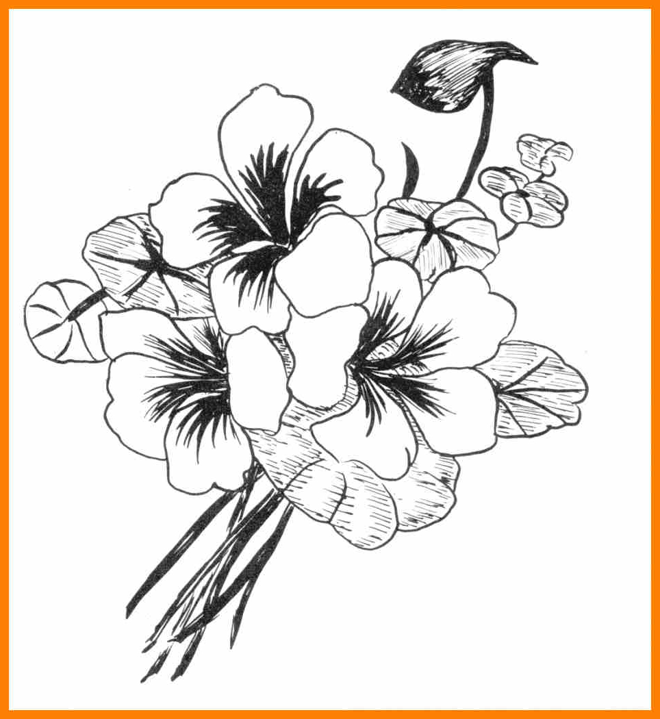 964x1050 Pretty Flower Designs Draw On Paper Cool Flower Patterns