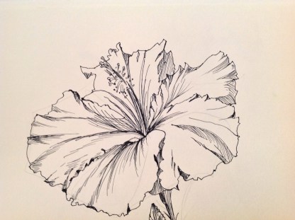 416x311 Pictures Flower Pen Drawing,