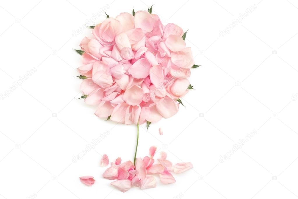 1023x682 Drawing Of A Tree From Pink Rose Petals Stock Photo Ftelkov