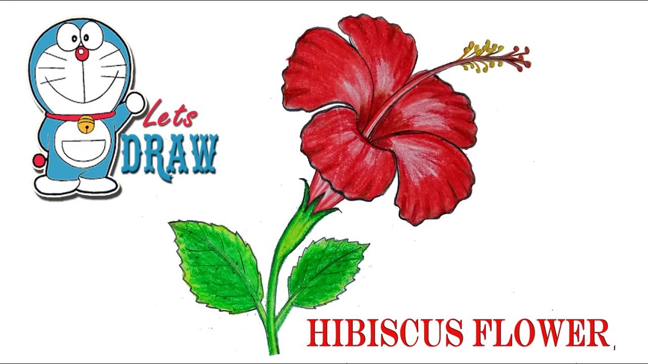 1280x720 How To Draw A Hibiscus Flower Step By Step (Very Easy)