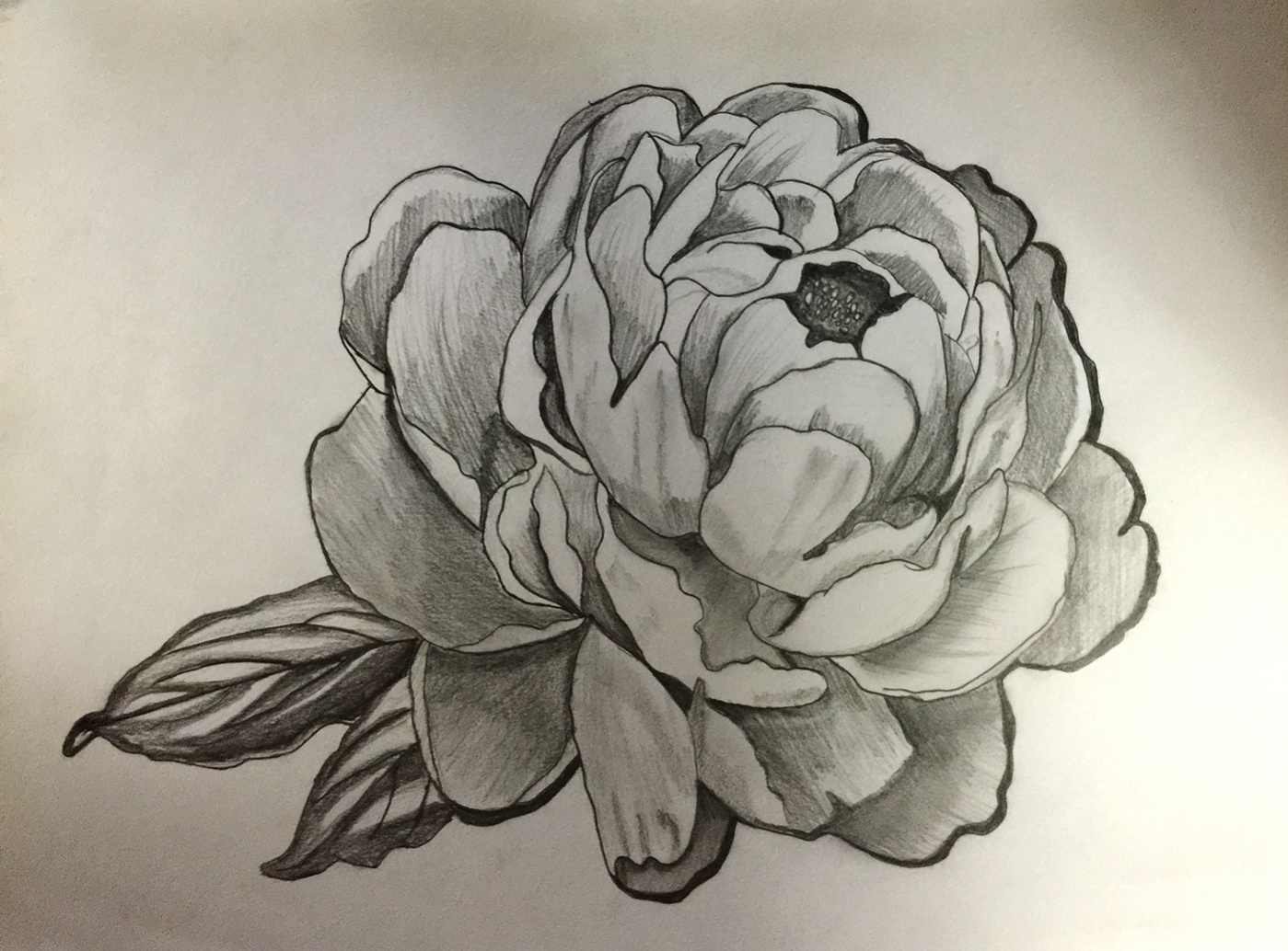 1399x1034 Beautiful Flower Drawings