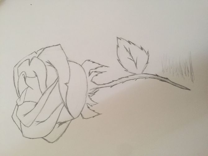 670x503 9 Easy Ways To Draw A Flower