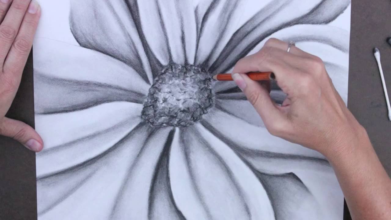 1280x720 Charcoal Flower Drawing