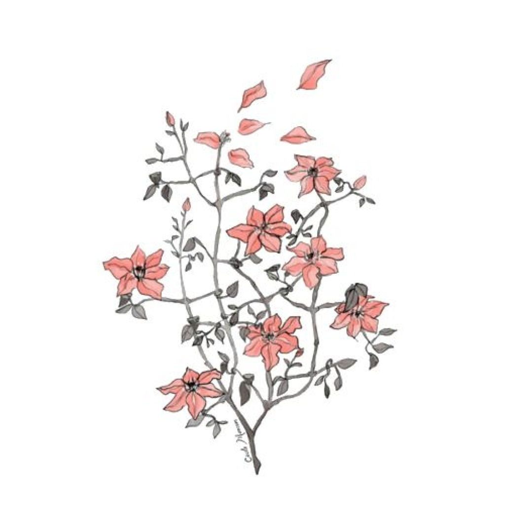1024x1024 Flowers Drawing Tumblr