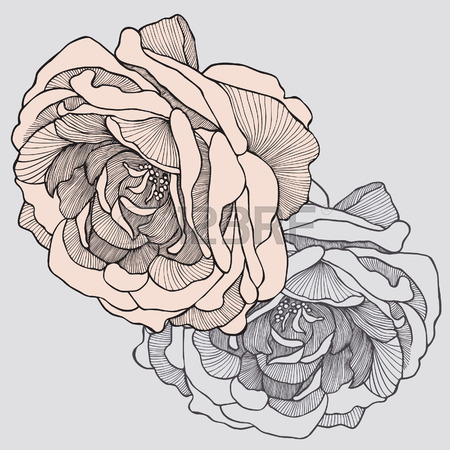 450x450 Hand Drawn Flower Stock Photos. Royalty Free Business Images