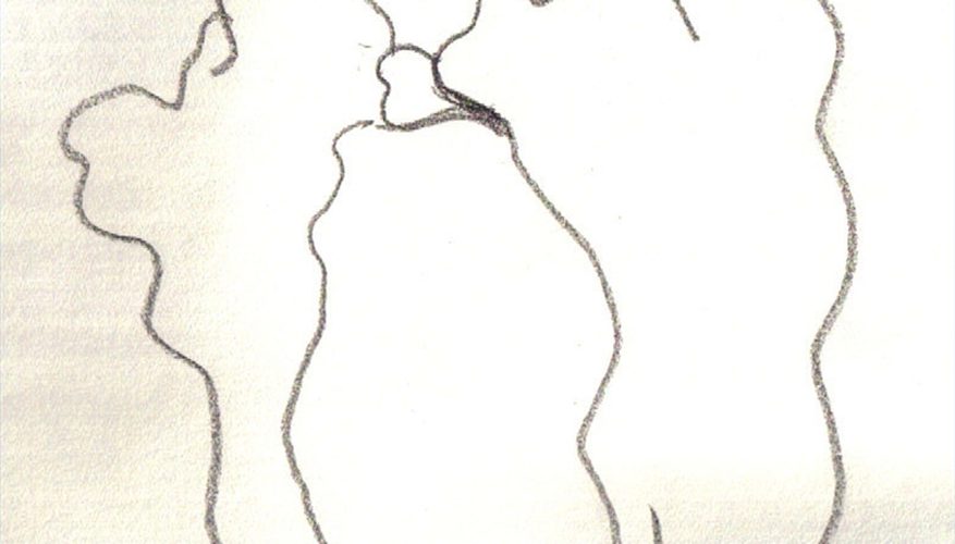 877x500 How To Draw Iris Flowers Sciencing