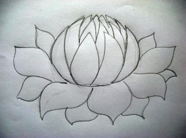 609x453 How To Draw A Flower