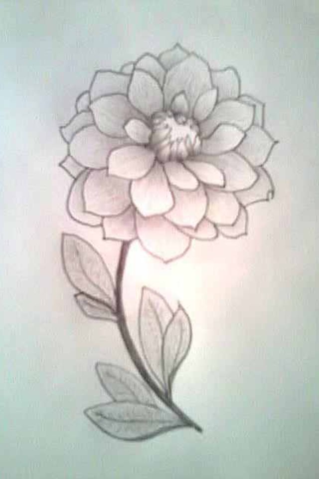 640x960 Pictures Cute Easy Drawings Flowers,