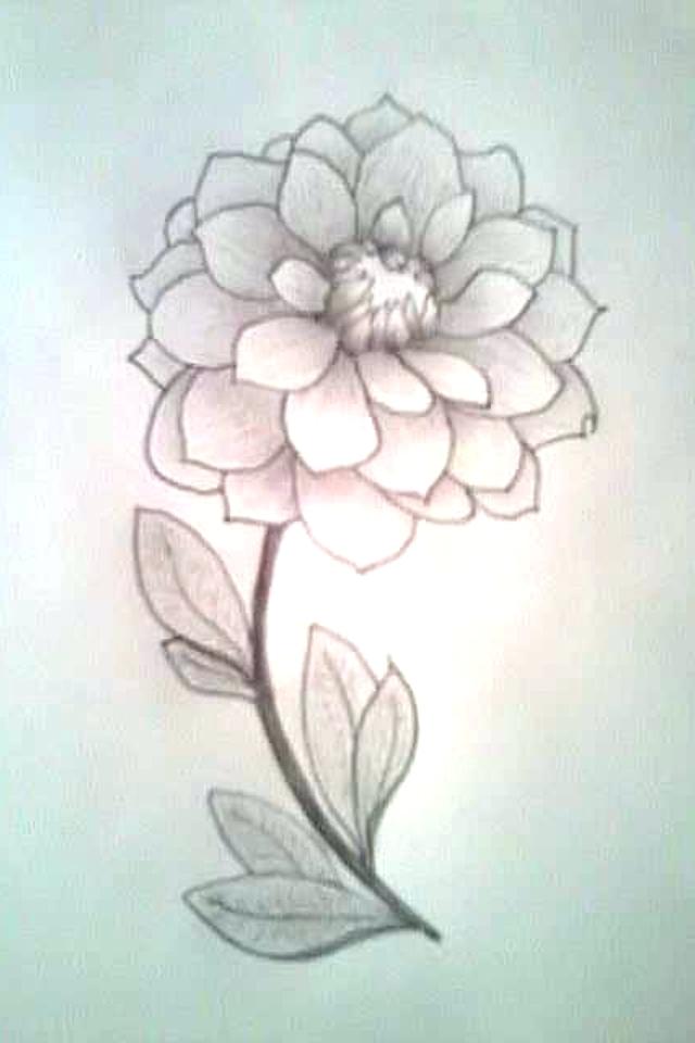 640x960 Cool Flower Drawing