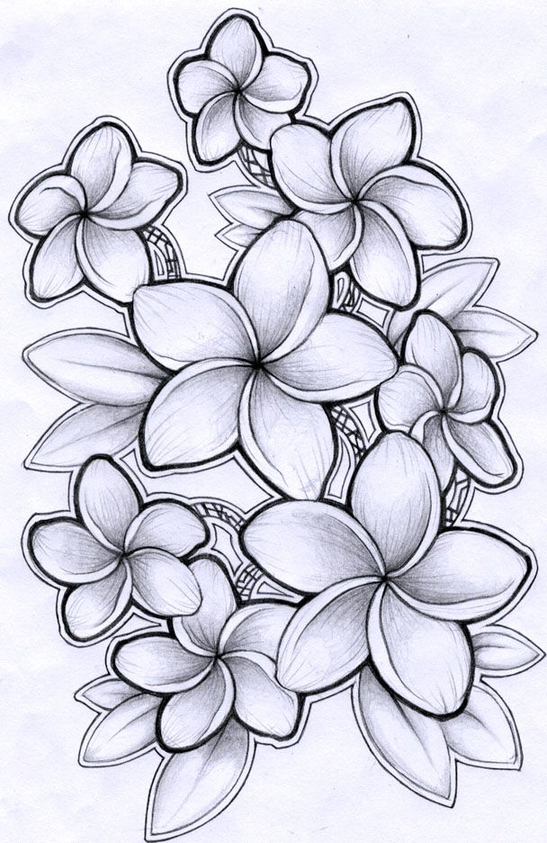 608x937 Collection Of Hd Hawaiian Flower Tattoo Design