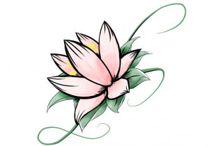 300x210 Simple Lotus Flower Drawing Simple Lotus Drawing How To Draw