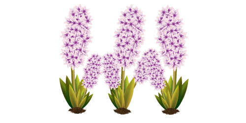 500x250 Illustrator Tutorial Vector Flower Plant