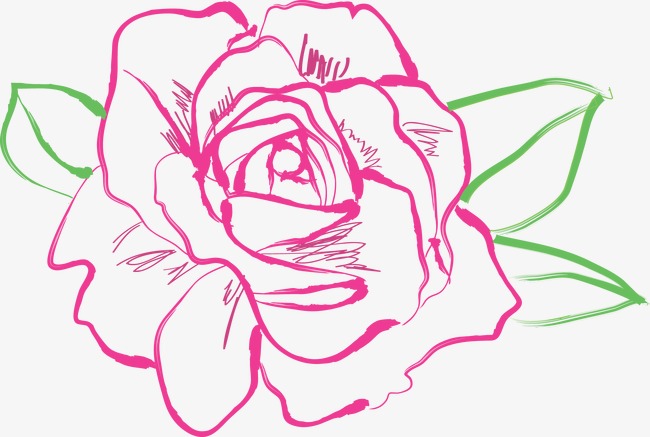 650x437 Rose Drawing Vector, Flowers, Rose, Retro Png And Vector For Free