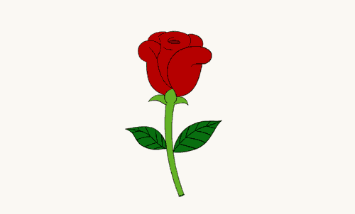 500x302 How To Draw Roses