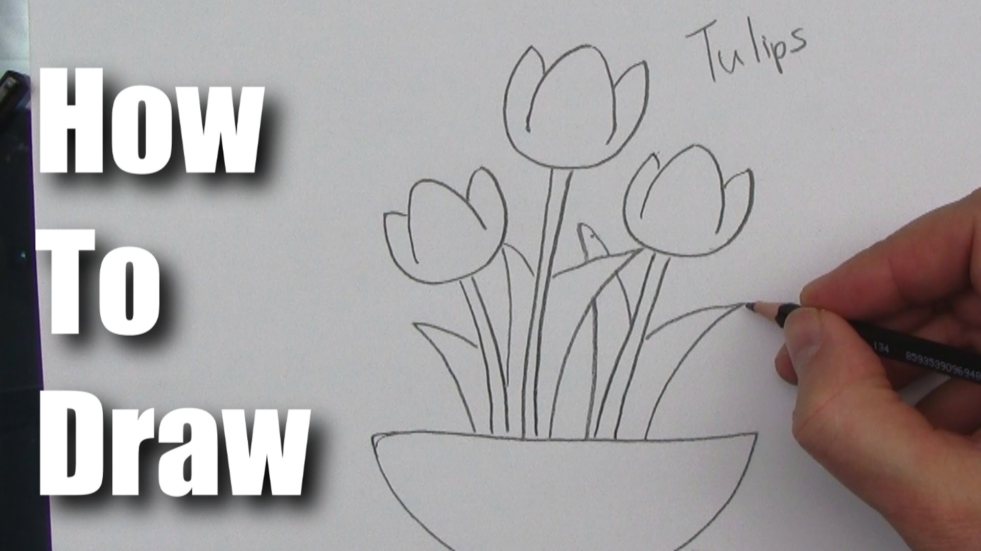 1920x1080 How To Draw A Tulip Flower Step By Step