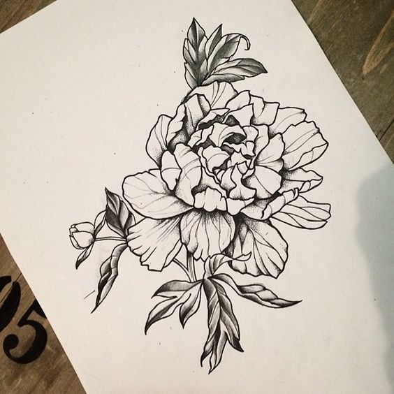 564x564 Flower Sketch Tattoo Design