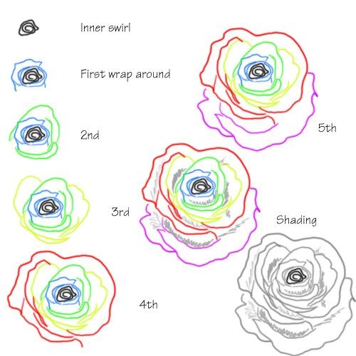 500x500 How To Draw Roses