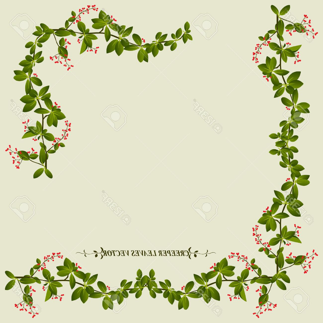 1300x1300 Flower Vine Drawings Border Drawn Vine Border