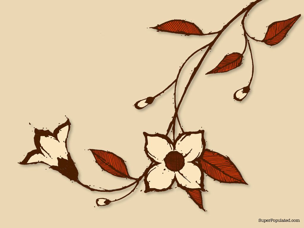 1024x768 Flowers Vines Drawing Images Art Flower Vines