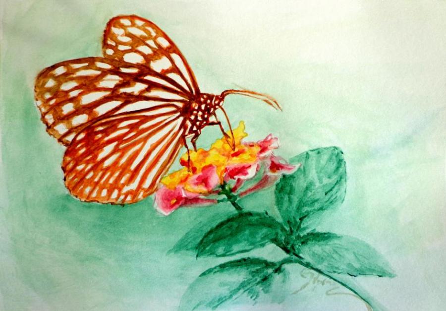 900x627 Butterfly On Flower. Nature. Drawings. Pictures. Drawings Ideas