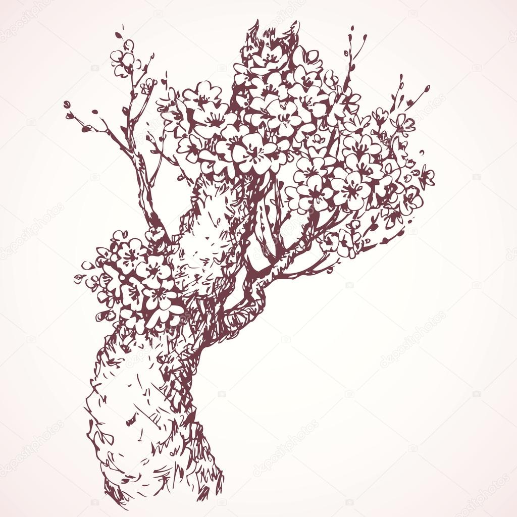 1024x1024 Spring Flowering Tree. Vector Drawing Stock Vector Marinka