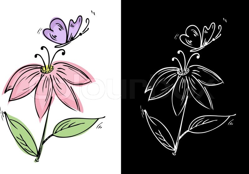 800x560 Drawing A Flower With A Butterfly Stock Vector Colourbox