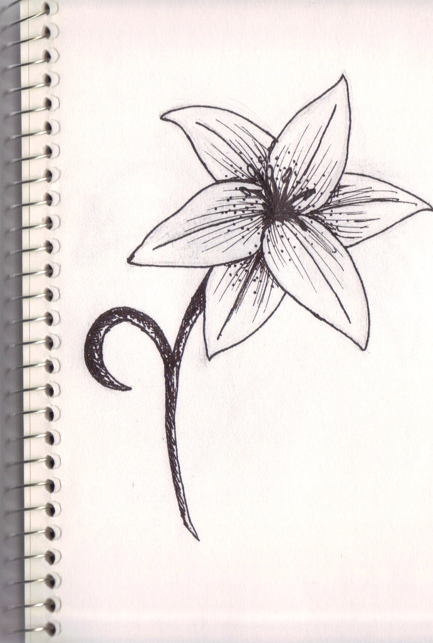 854x1268 Another Lily Flower By Lyddy666 And Drawing