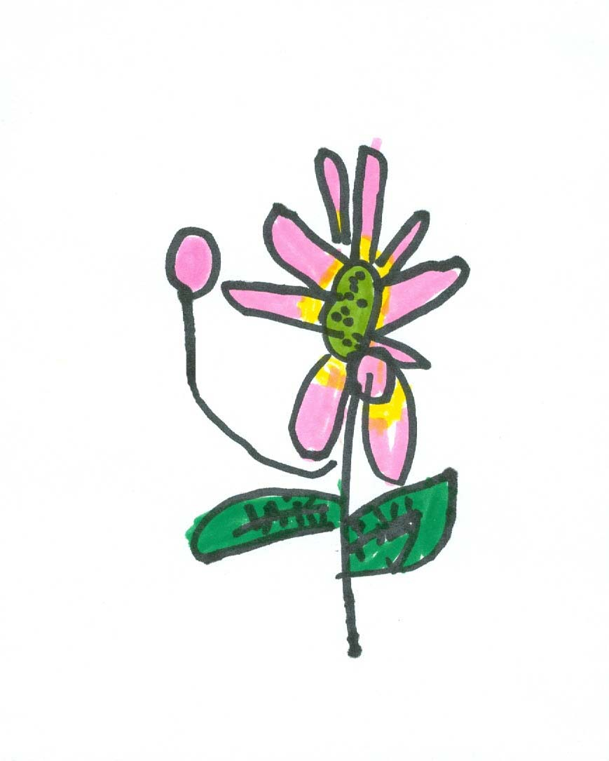 869x1085 Drawing Flowers For Kids How To Draw Beautiful Flowers For Kids