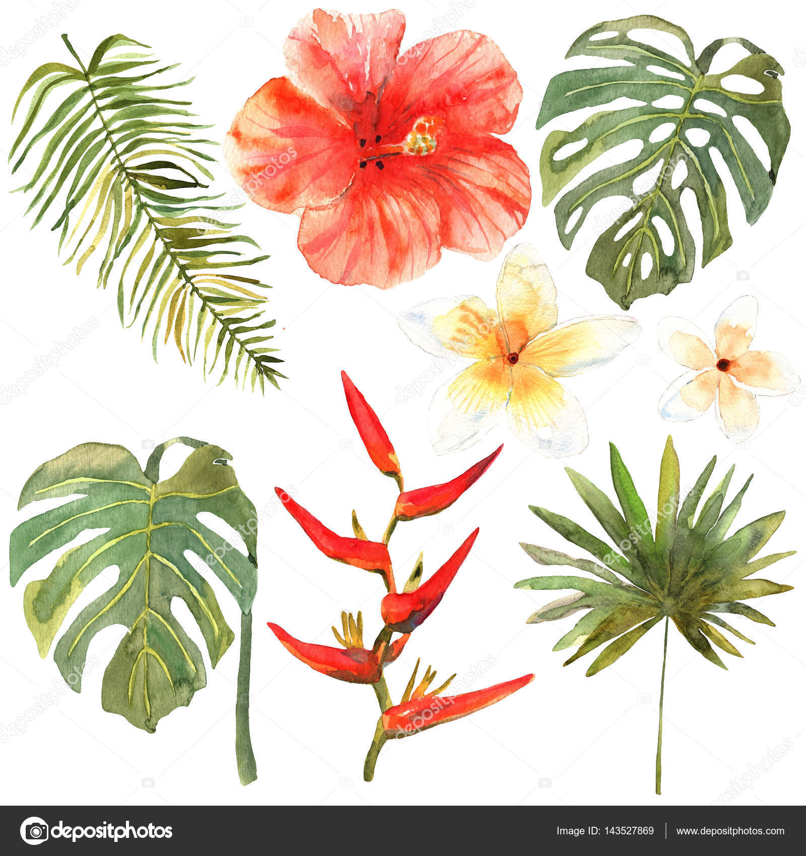 1600x1700 Floral Set. Collection With Tropical Leaves And Flowers, Drawing