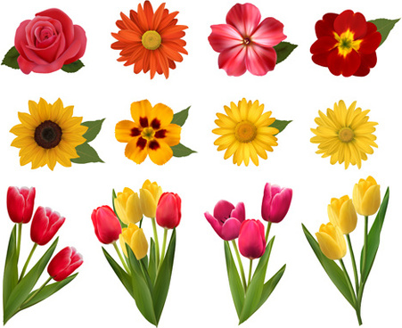 451x368 Beautiful Flowers Drawing Free Vector Download (104,978 Free