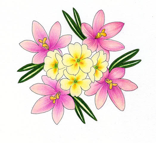 524x480 Flowers For Flower Lovers. Flowers Drawing.