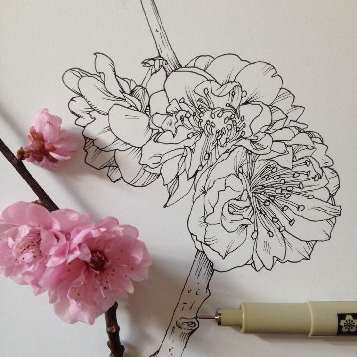 736x736 Colorful Flowers Drawings Tumblr