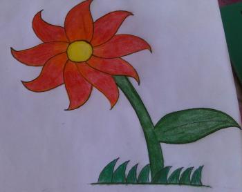 350x278 How To Draw How To Draw A Flower