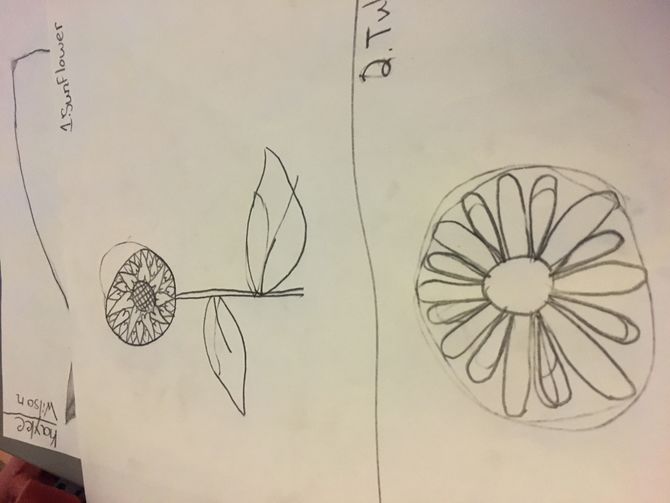 670x503 9 Easy Ways To Draw A Flower
