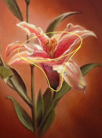 333x450 Pencil Flower Drawing, Step By Step Drawing Guide For Beginners.