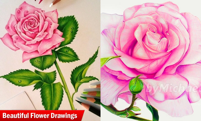 660x400 25 Beautiful And Stunning Flower Drawings From Around The World