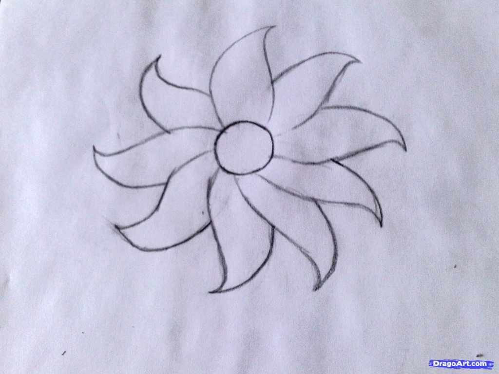 1024x768 How To Draw A Flower For Kids How To Draw A Flower Easy Stepstep