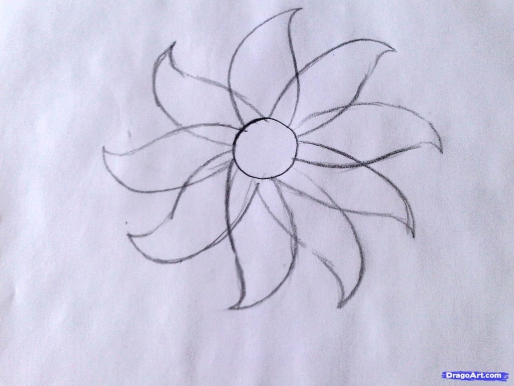 1024x768 How To Draw An Easy Flower Learn How To Draw A Flower Easy Flowers