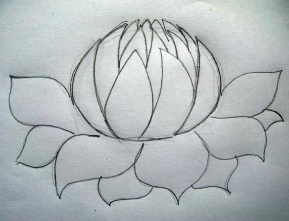 584x447 How To Draw A Flower
