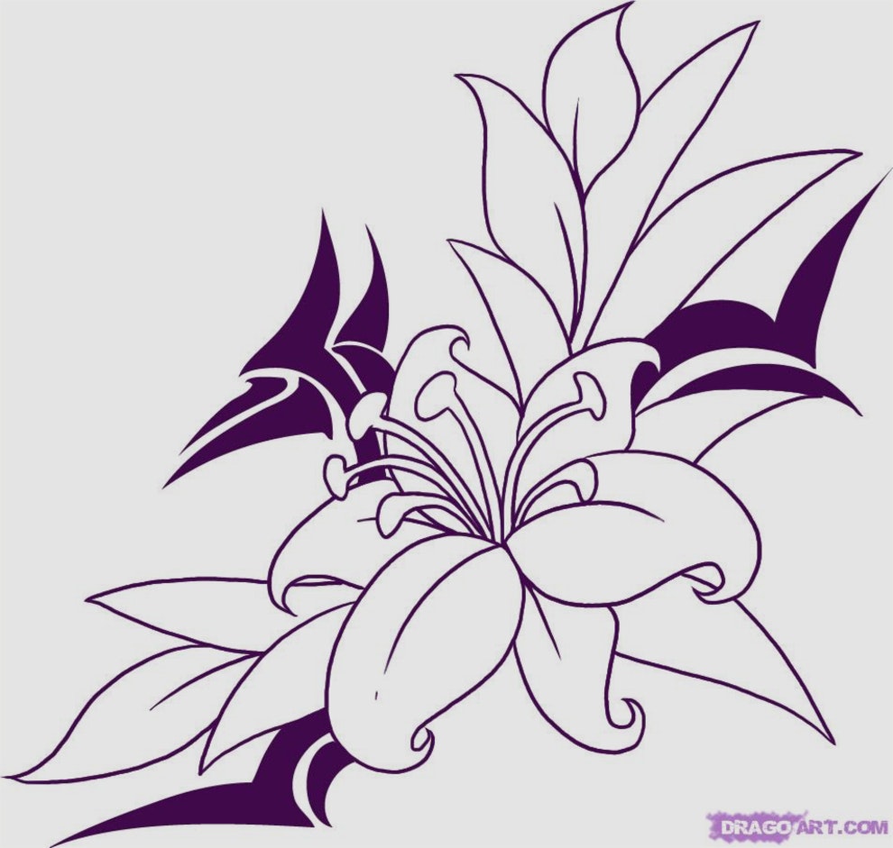 990x941 Beautiful Gallery Of Drawing Pictures Flowers Pictures Of Flower