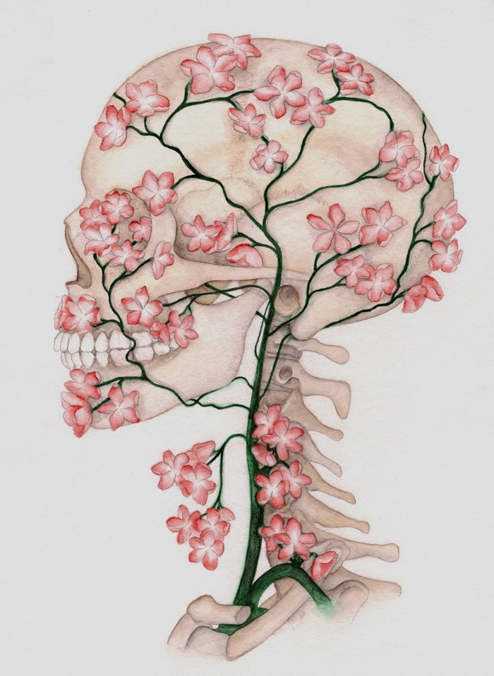 700x958 Flower Skull Drawing